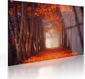 Obraz na szkle - Jesienny las (70x50 cm)