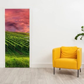 Fototapeta na drzwi - Winnica z kolorowym niebem (95x205cm)
