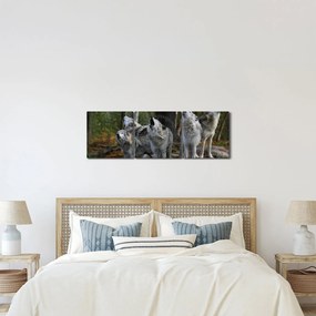 Obraz - Wilki na skale (z zegarem) (90x30 cm)