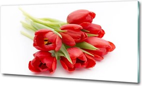 Foto obraz szklany Czerwone tulipany