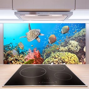 Panel Kuchenny Kolorowe Życie Rafy Koralowej