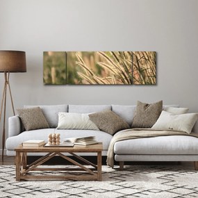 Obraz - Ziarno (170x50 cm)