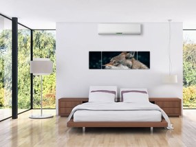 Obraz wilka (170x50 cm)