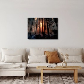 Obraz na szkle - ciemny las (70x50 cm)