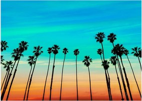 Obraz na szkle - Kalifornia (70x50 cm)