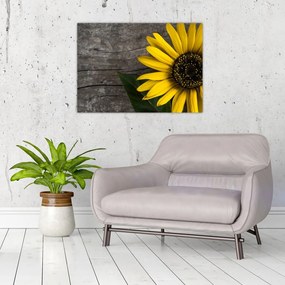 Obraz na szkle - Kwiat słonecznika (70x50 cm)