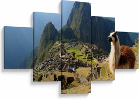 Obraz - Lama i Machu Picchu (125x70 cm)