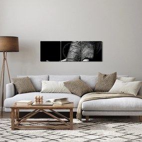 Obraz - Kły słonia (z zegarem) (90x30 cm)