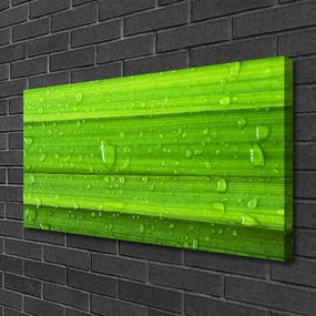 Obraz canvas Soczysta Zieleń Polany