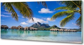 Panel do kuchni Palmy na Bora Bora
