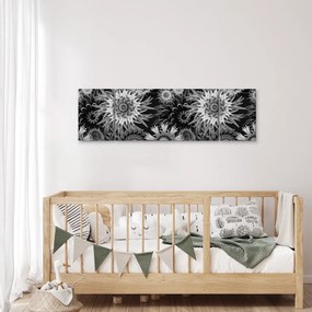 Obraz - Czarne i białe osty (170x50 cm)