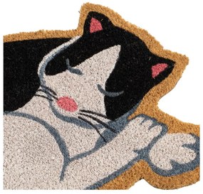 Wycieraczka z włókna kokosowego 40x60 cm Cat – Casa Selección