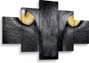 Obraz - Portret kota z bliska (125x70 cm)