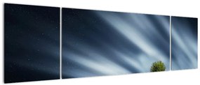 Obraz zorzy polarnej nad wrzosowiskami (170x50 cm)