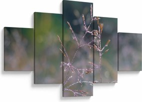 Obraz - Szczegół trawy (125x70 cm)