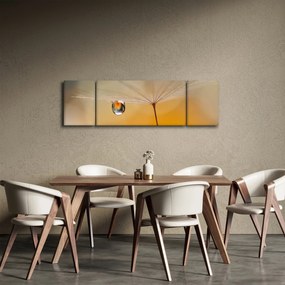 Obraz - Makro kwiat (170x50 cm)