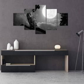 Obraz - Nocna sowa, czarno-biały (125x70 cm)