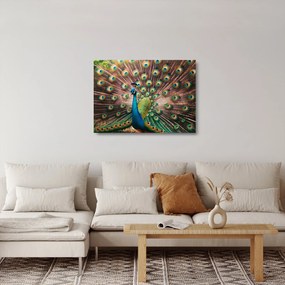 Obraz na szkle - Paw (70x50 cm)