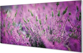 Szkło do Kuchni na Ścianę Fioletowy Dywan Wrzosowisk