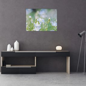 Obraz - Delikatne kwiaty (70x50 cm)