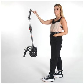 Torba na zakupy na kółkach 43 l Mini Bag MF 2 Logic – Rolser