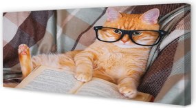 Zdjęcie na płótnie Kot "Czytający" Książkę