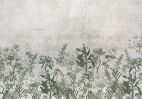 Fototapeta - Rośliny w betonie (196x136 cm)