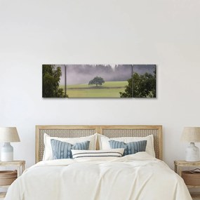 Obraz łąki z drzewem (170x50 cm)