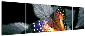 Obraz motyla (170x50 cm)