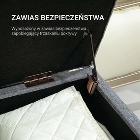 HOMCOM ławka tapicerowana z pojemnikiem na buty do przedpokoju tkanina poliestrowa drewno jasnoszary 100x40x44 cm | Aosom PL