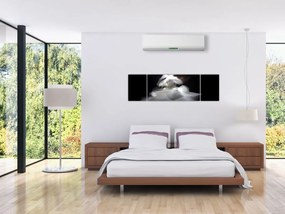 Obraz kwiatu lotosu (170x50 cm)