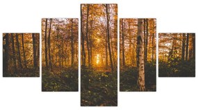 Obraz jesiennego lasu (125x70 cm)