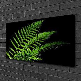 Obraz canvas na ścianę Słońce w Katedrze Drzew