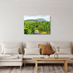 Obraz na szkle - Babia Góra, Polska (70x50 cm)