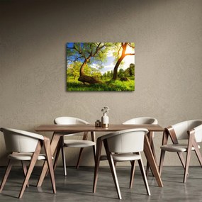 Obraz wiosennej łąki (70x50 cm)