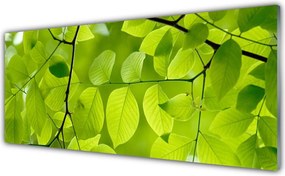 Panel Kuchenny Botaniczny Detal Liści