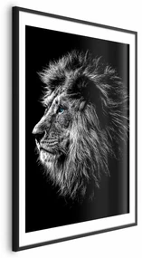 Plakat Niebieskooki lew 40x60 cm z ramą czarną z marginesem ARTGEIST B