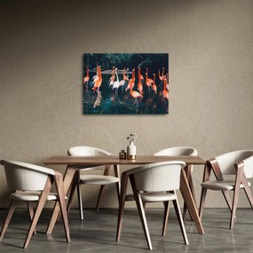 Obraz stada flamingów (70x50 cm)