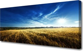 Obraz canvas na ścianę Słoneczne Łany Zboża