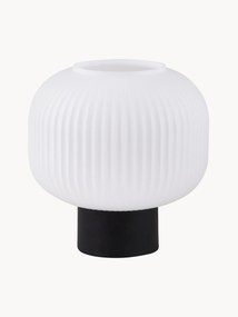 Lampa stołowa ze szkła opalowego Charles