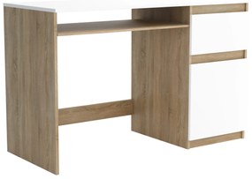 Biurko komputerowe młodzieżowe szkolne 120 cm REMI1 Dąb Sonoma/Biały