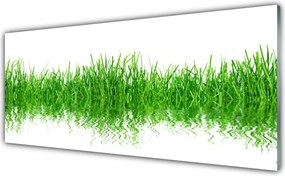 Szkło nad Blatem Naturalny Dywan Zieleni