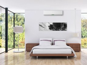 Obraz - Kwiat w czerni i bieli (170x50 cm)
