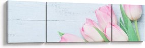 Zdjęcie - Bukiet tulipanów (170x50 cm)