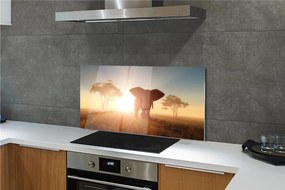 Panel szklany do Kuchni Słoń o Wschodzie Słońca na Sawannie