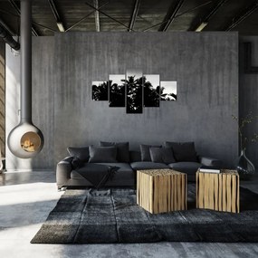 Obraz czarno - biały - palmy (125x70 cm)