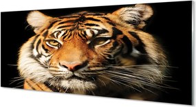 Panel szklany do Kuchni Skradający się Drapieżnik