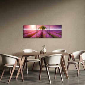 Obraz pola z lawendą (z zegarem) (90x30 cm)