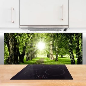 Panel nad blat kuchenny Rozświetlona Ścieżka Leśna