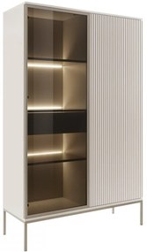 Witryna Dornis WTSZ104